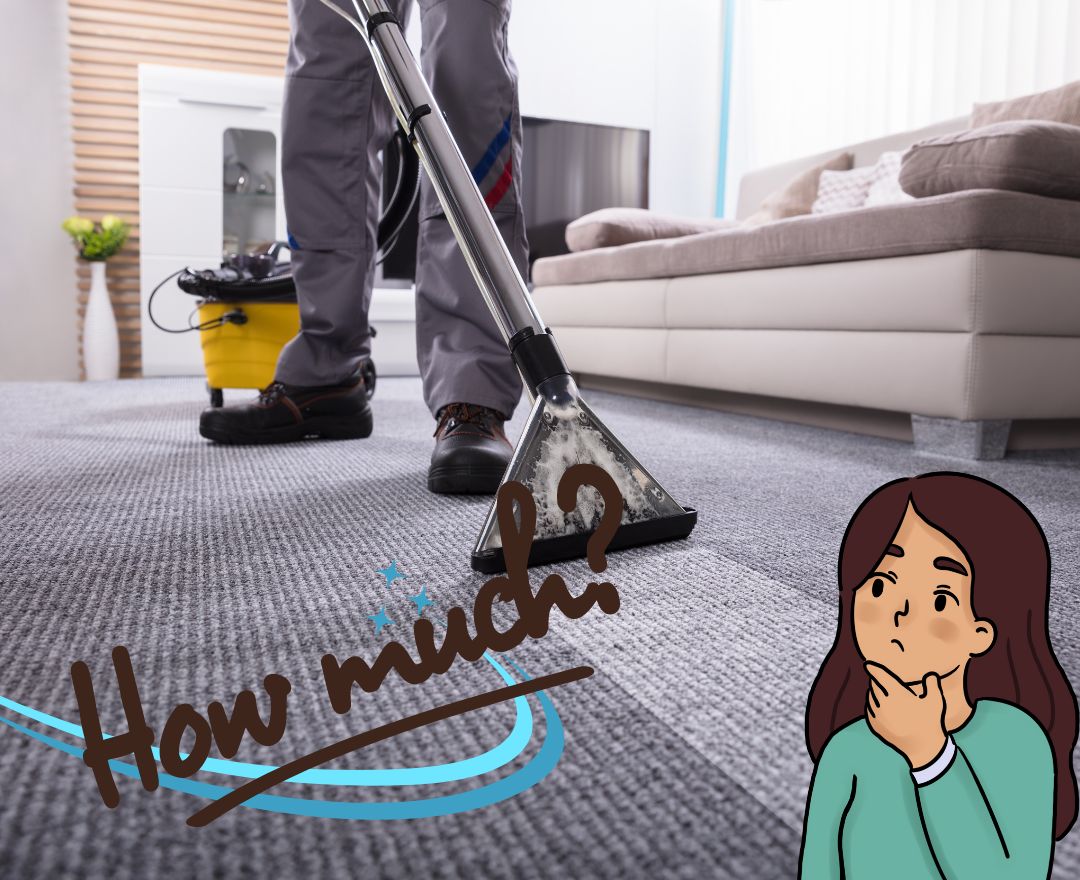 How Much To Charge For Carpet Cleaning Cost Commercial
