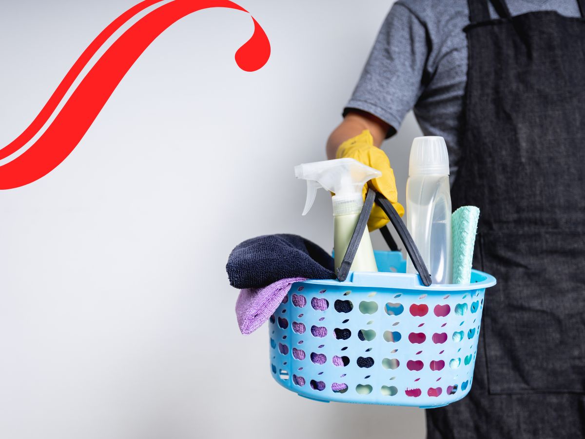 How To Start Your Own Professional Cleaning Business - Learn The Steps For Success