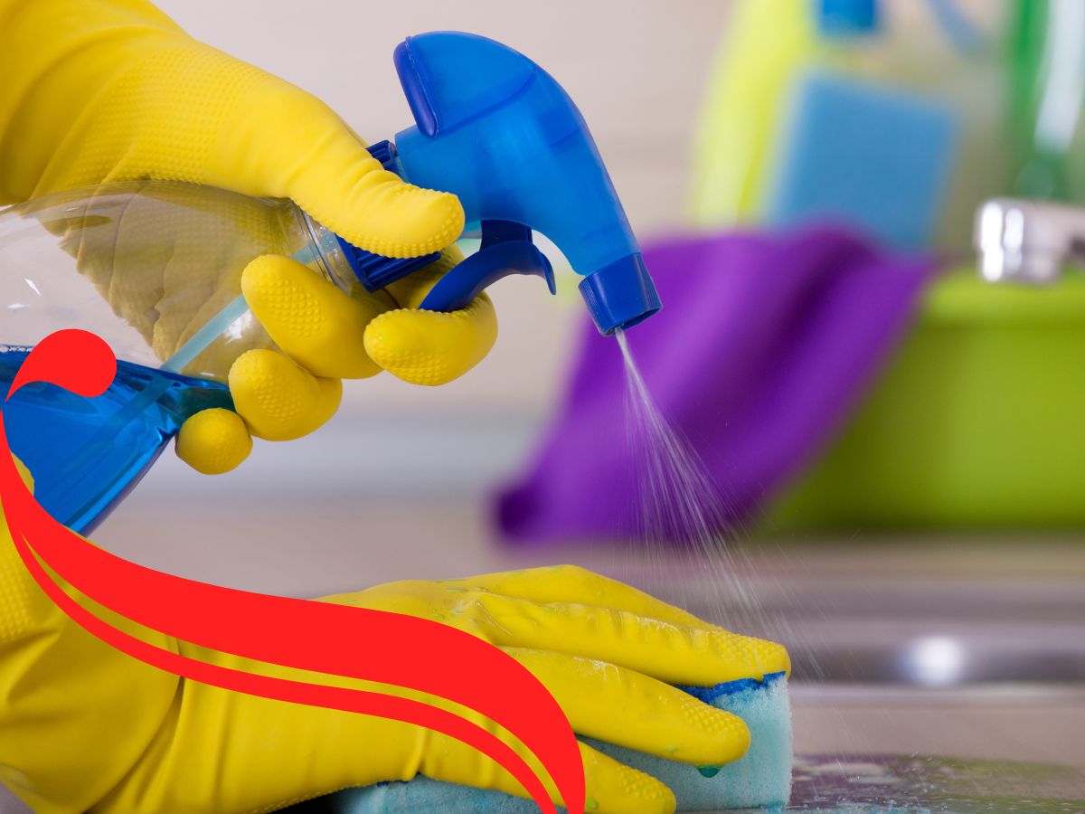 What Is The Best Way To Introduce Your Cleaning Business?